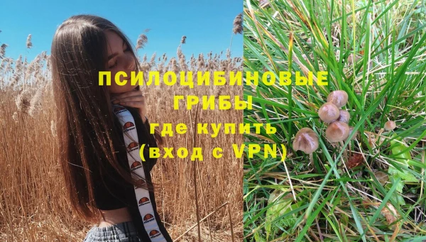 прущая мука Богданович