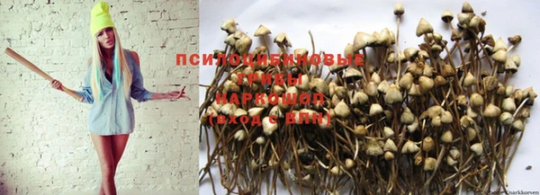 прущая мука Богданович